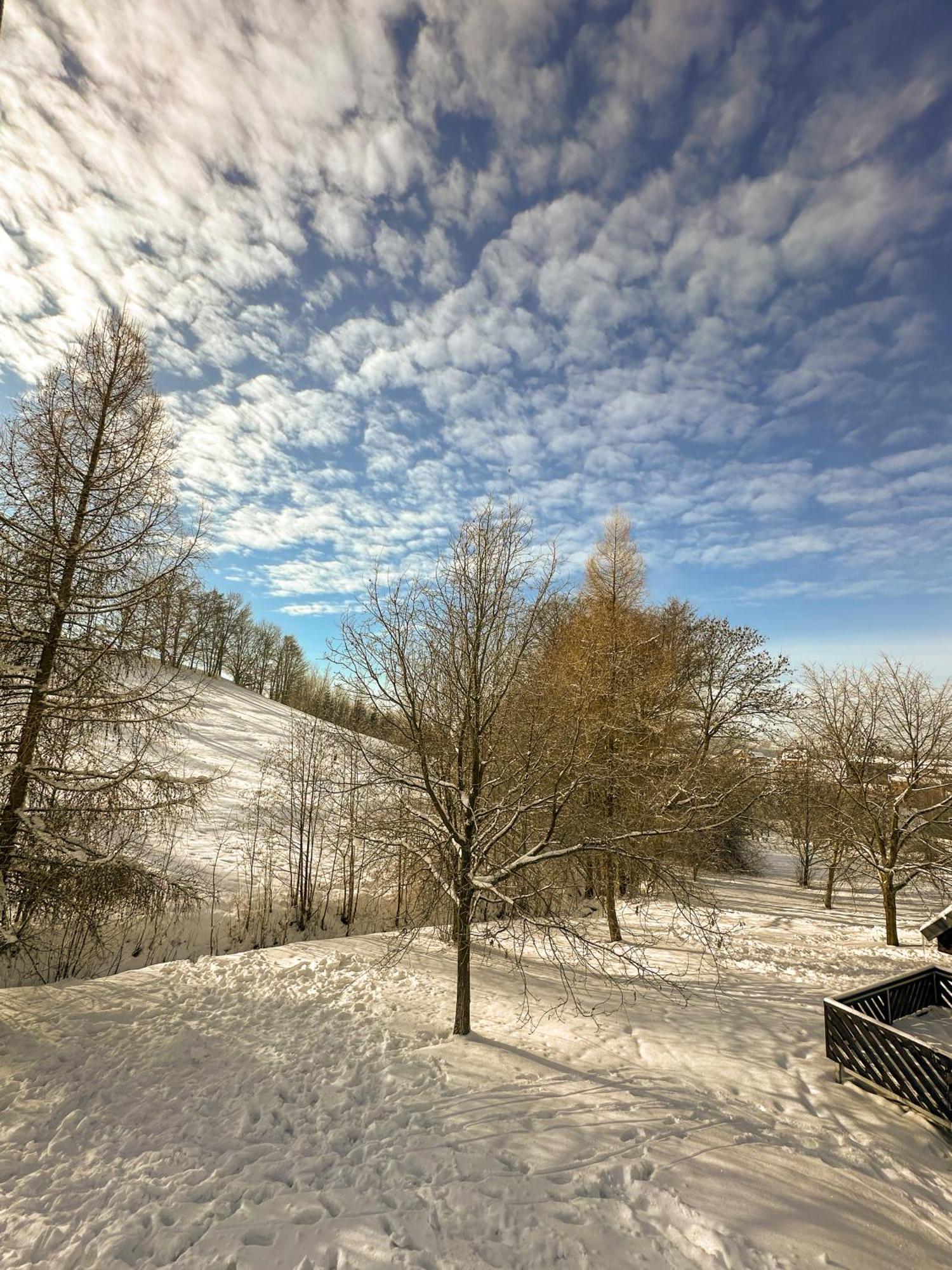 Ctyricitka Na Stastnem Kopci Villa Černý Dŭl Exterior foto